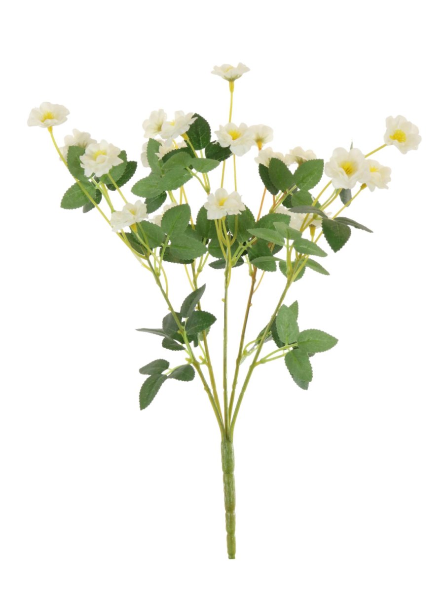 Ruffled Buttercup Bunch