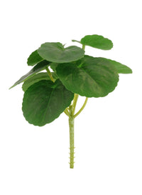 Printed Frilly Leaf Bunch (small)