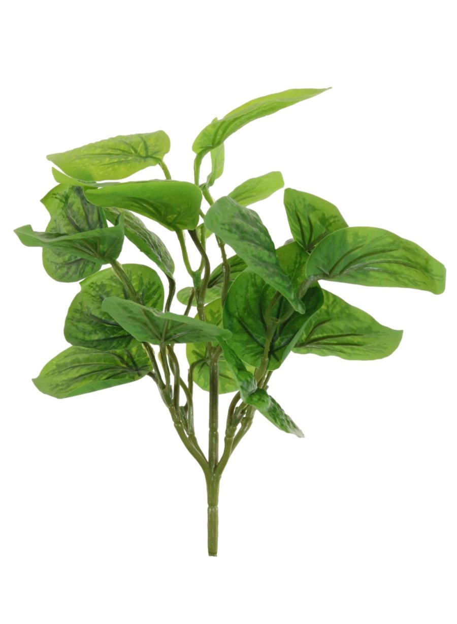 Beanstalk Leaf Bunch (small)