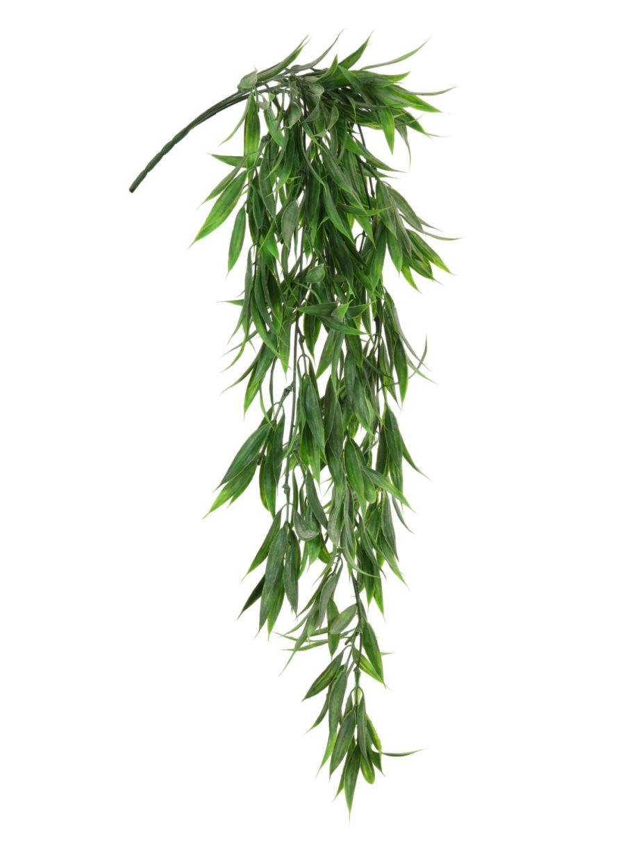 wild hanging plants Hanging Wild Grass Bunch