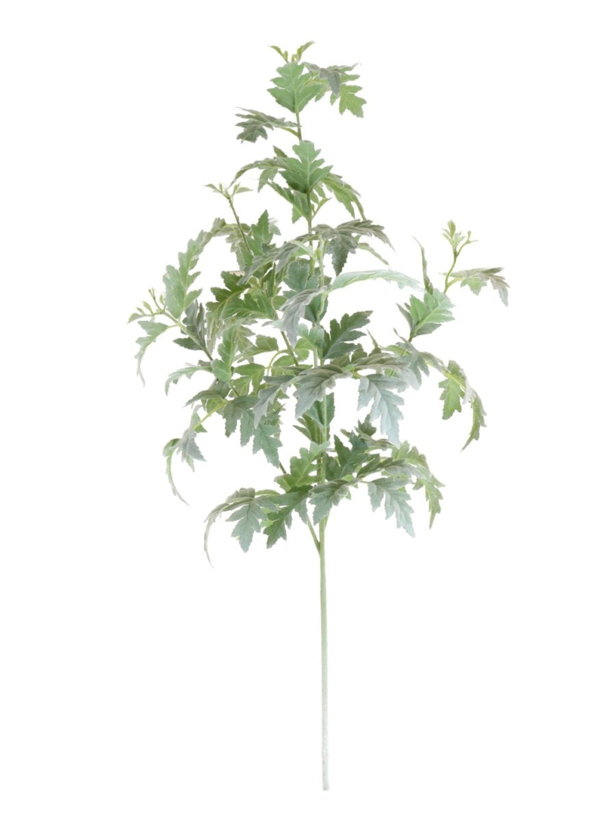 Dusty Miller Spray (Extra Large)