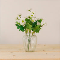 Mia Daisy In Bud Vase Arrangement