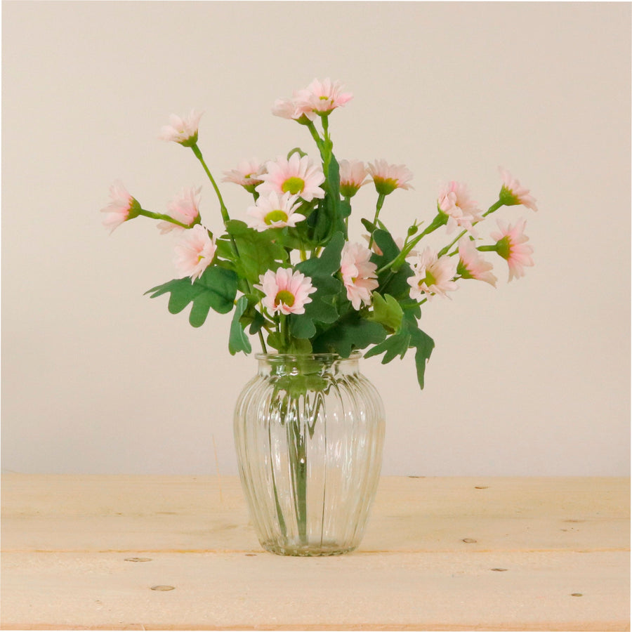 Mia Daisy In Bud Vase Arrangement