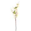 Ottilie Cherry Blossom Stem