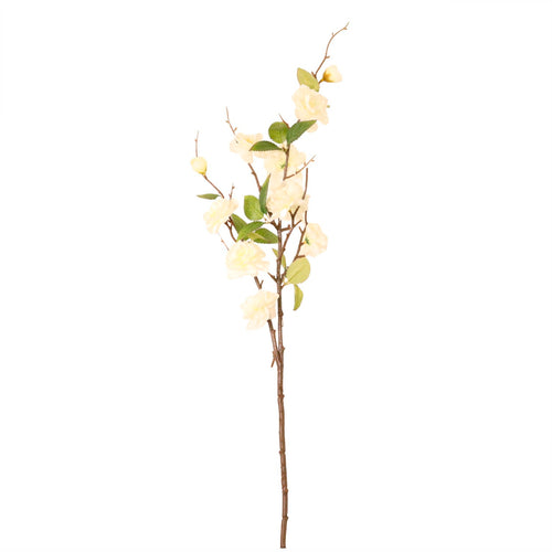 Ottilie Cherry Blossom Stem