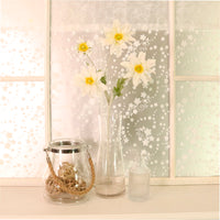 Chrysanthemum Japonense Spray
