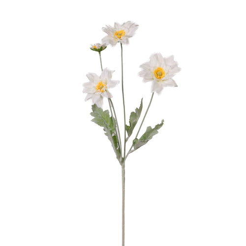 Chrysanthemum Japonense Spray