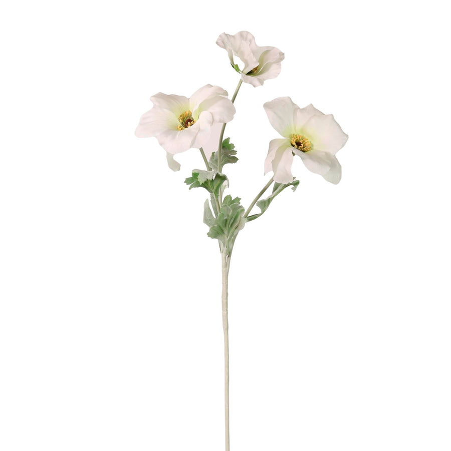 Trumpet Valentina Spray