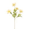Frilly Scabiosa Spray