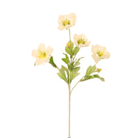 Frilly Scabiosa Spray