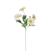 Frilly Scabiosa Spray