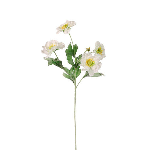 Frilly Scabiosa Spray