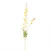 Pointed Larkspur Spray