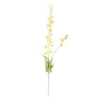 Pointed Larkspur Spray