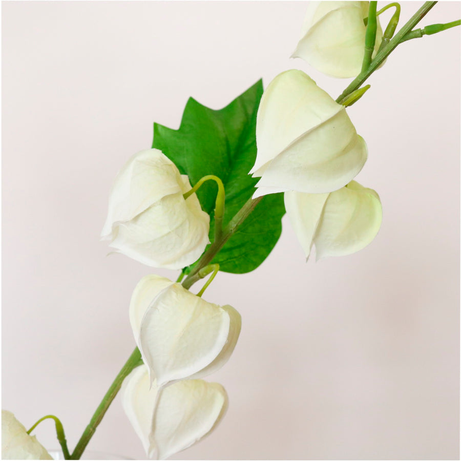 Chinese Lantern Stem