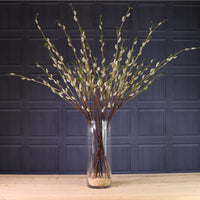 Royal Pussy Willow Spray