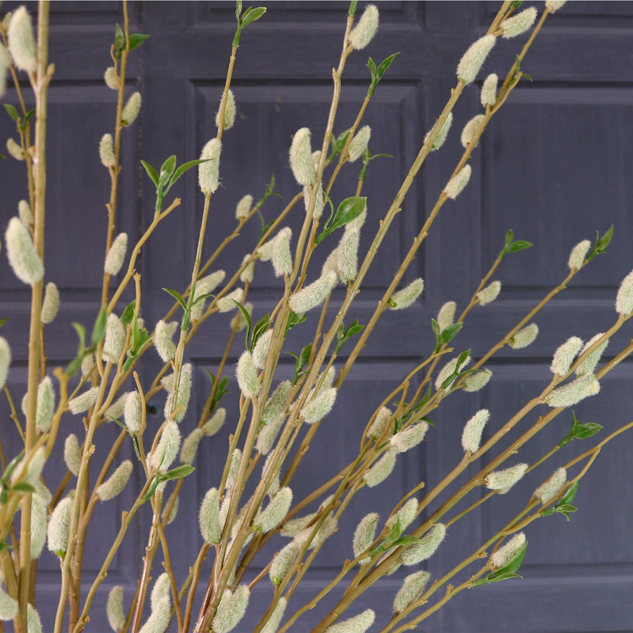 Royal Pussy Willow Spray