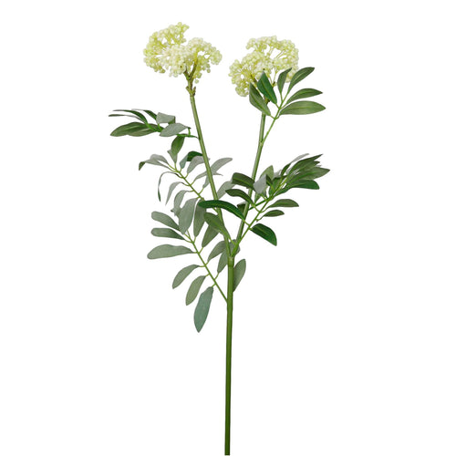 Dusted Elderberry Spray