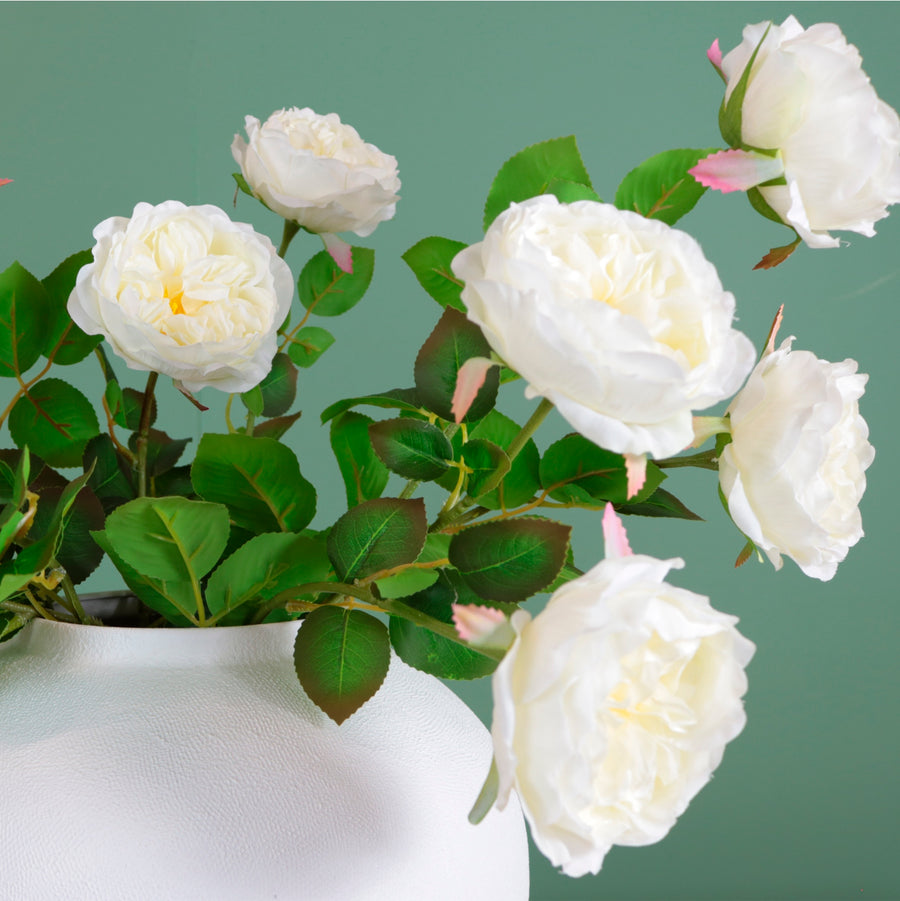 Austin Rose Stem