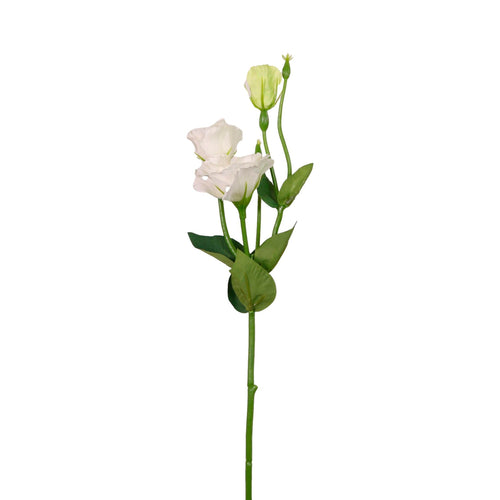 Frilly Lisianthus Spray Small
