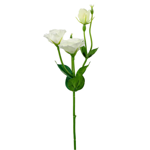 Frilly Lisianthus Spray Small