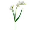 Freesia Spray