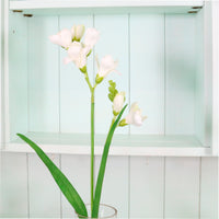 Freesia Spray