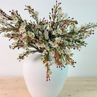Waxflower Chamelaucium Spray
