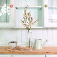 Waxflower Chamelaucium Spray