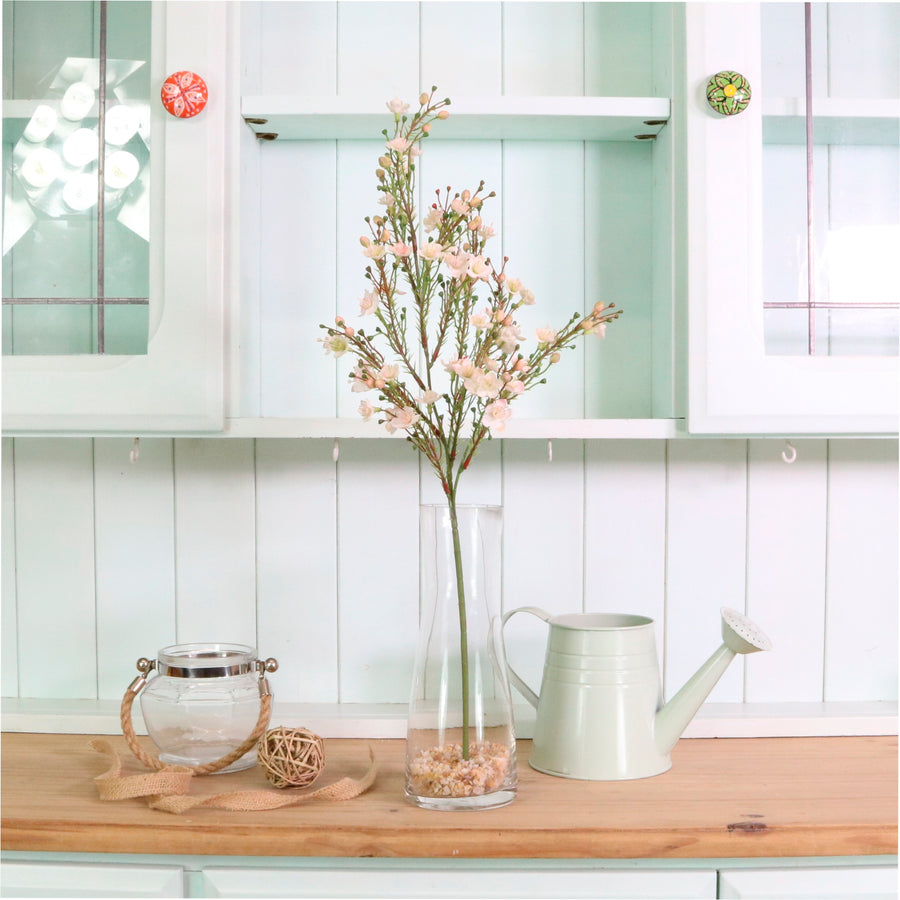 Waxflower Chamelaucium Spray