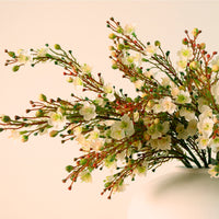Waxflower Chamelaucium Spray