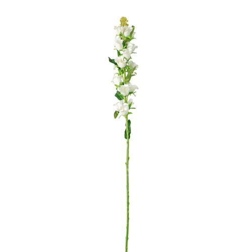 Campanula Bell Flower Stem