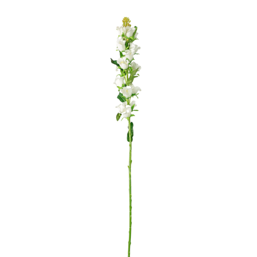 Campanula Bell Flower Stem