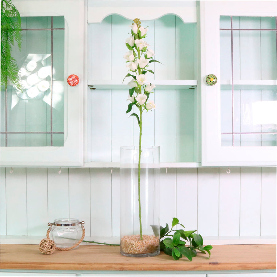 Campanula Bell Flower Stem