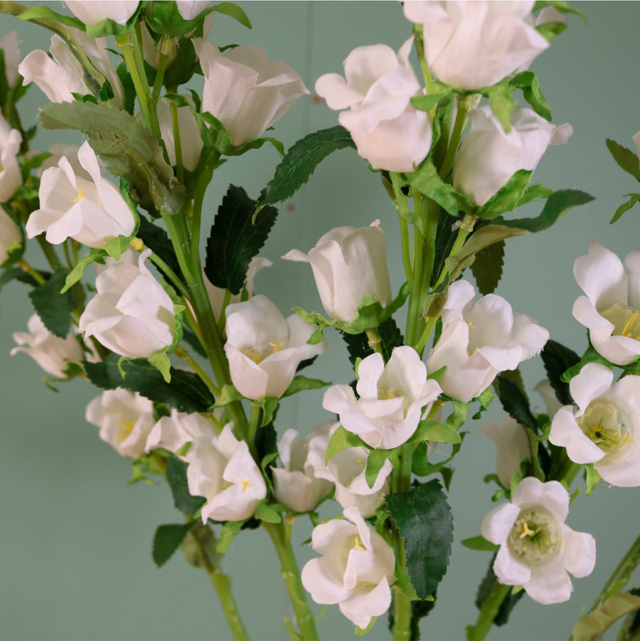 Campanula Bell Flower Stem