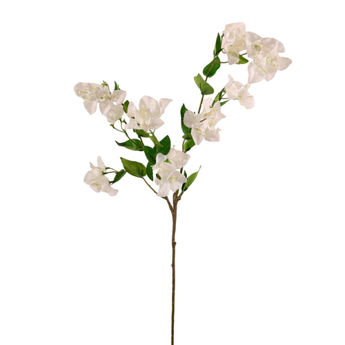 Ritzy Bougainvillea Spray