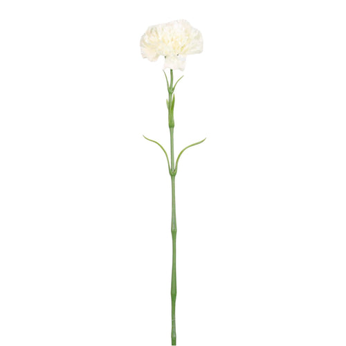 Ruffled Carnation Stem