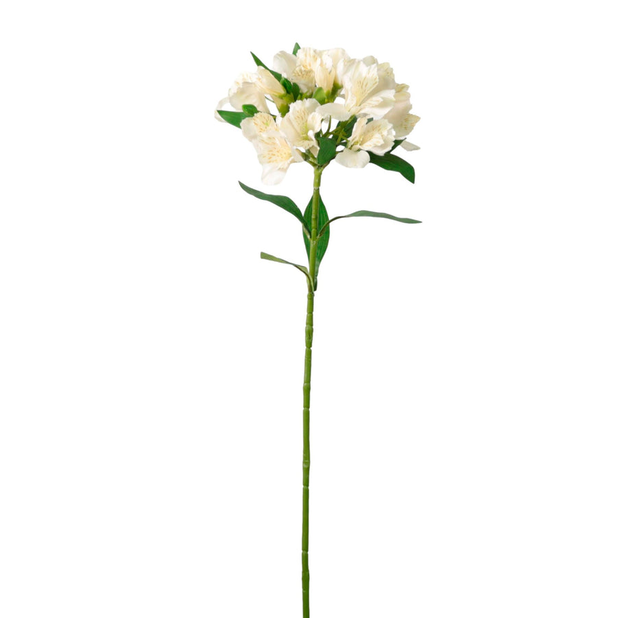 Empress Alstromeria Stem