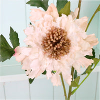 Ruffled Scabiosa Spray