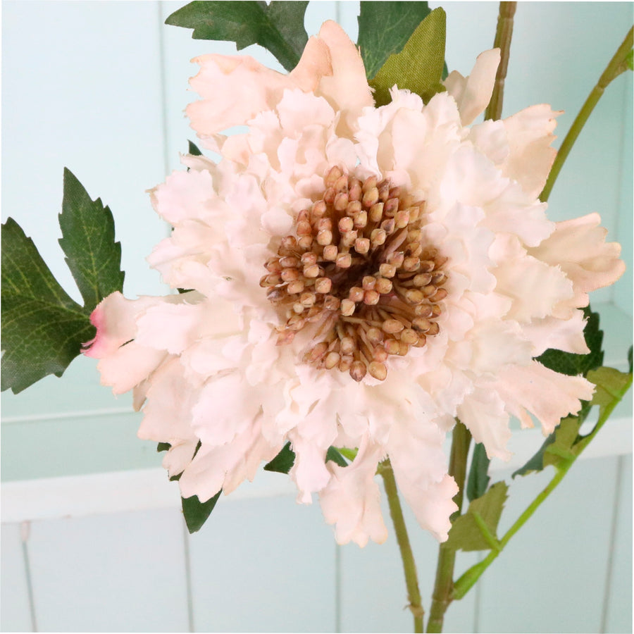 Ruffled Scabiosa Spray