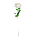 Open Esme Rose Stem