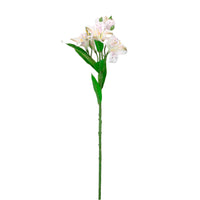 Speckled Alstroemeria Stem
