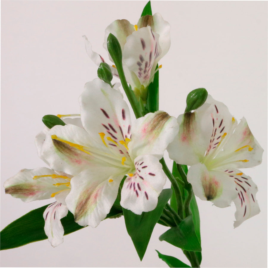 Speckled Alstroemeria Stem