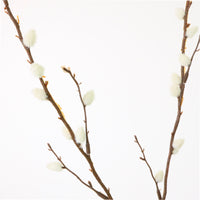 Luxury Pussy Willow Spray