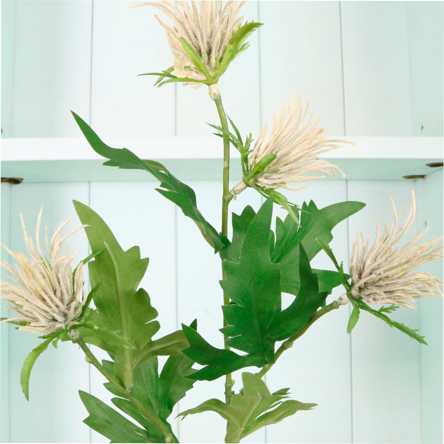 Jagged Thistle Spray