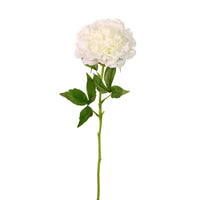 Real Touch Superior Open Peony Stem