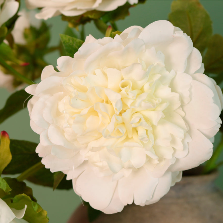 Real Touch Superior Open Peony Stem