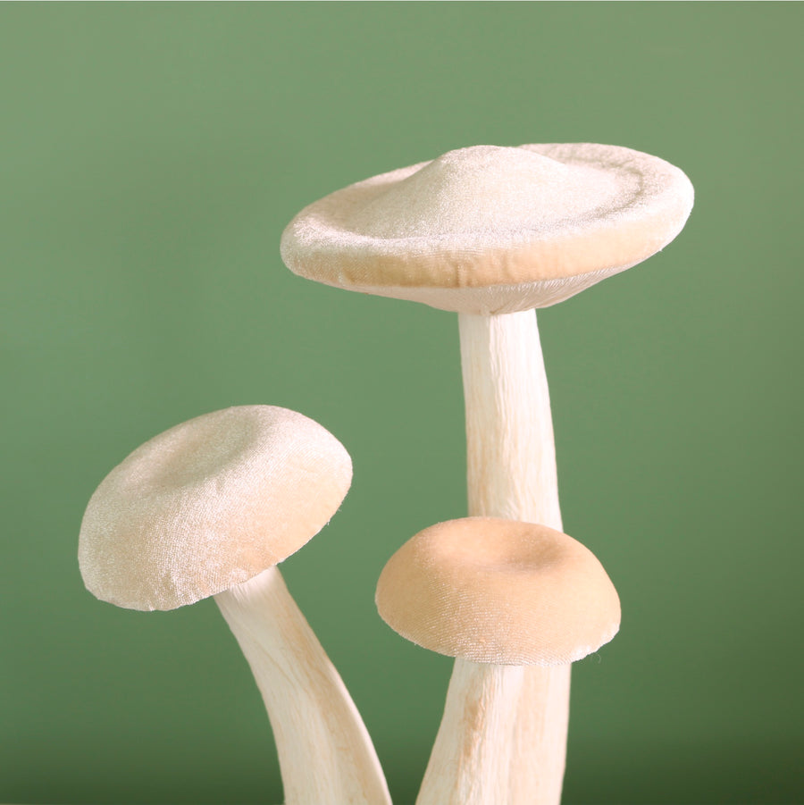 Velvet Standing Mushroom Trio