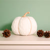 Knitted Single Pumpkin (16cm)