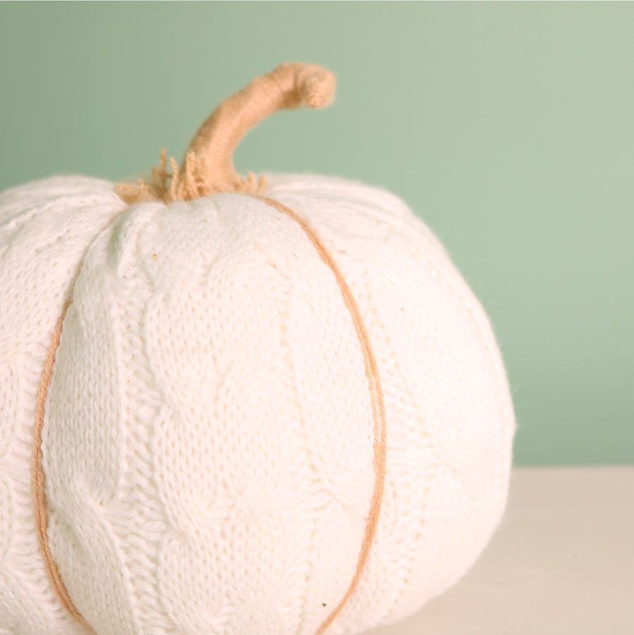 Knitted Single Pumpkin (16cm)